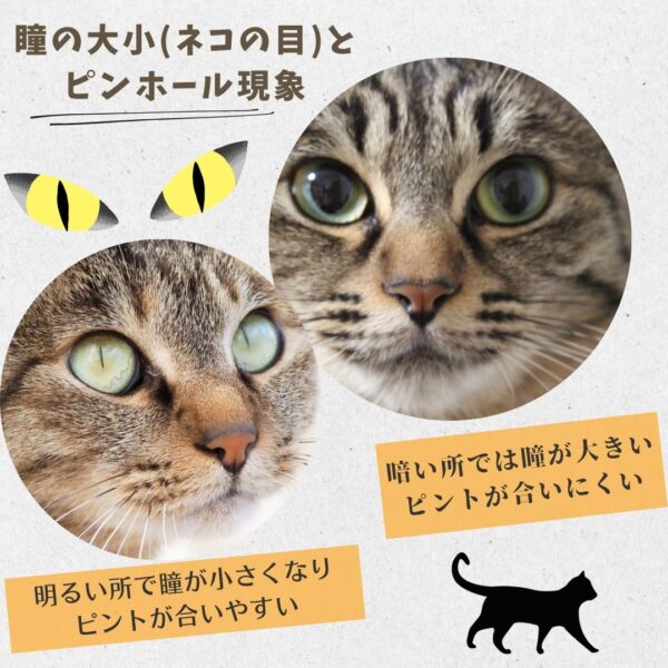 ピンホール現象2